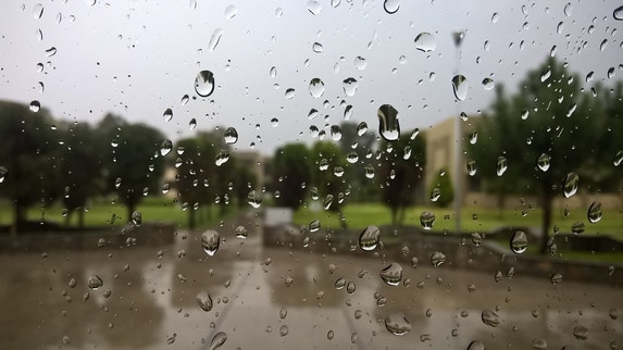 Fotografía con árboles en un día lluvioso